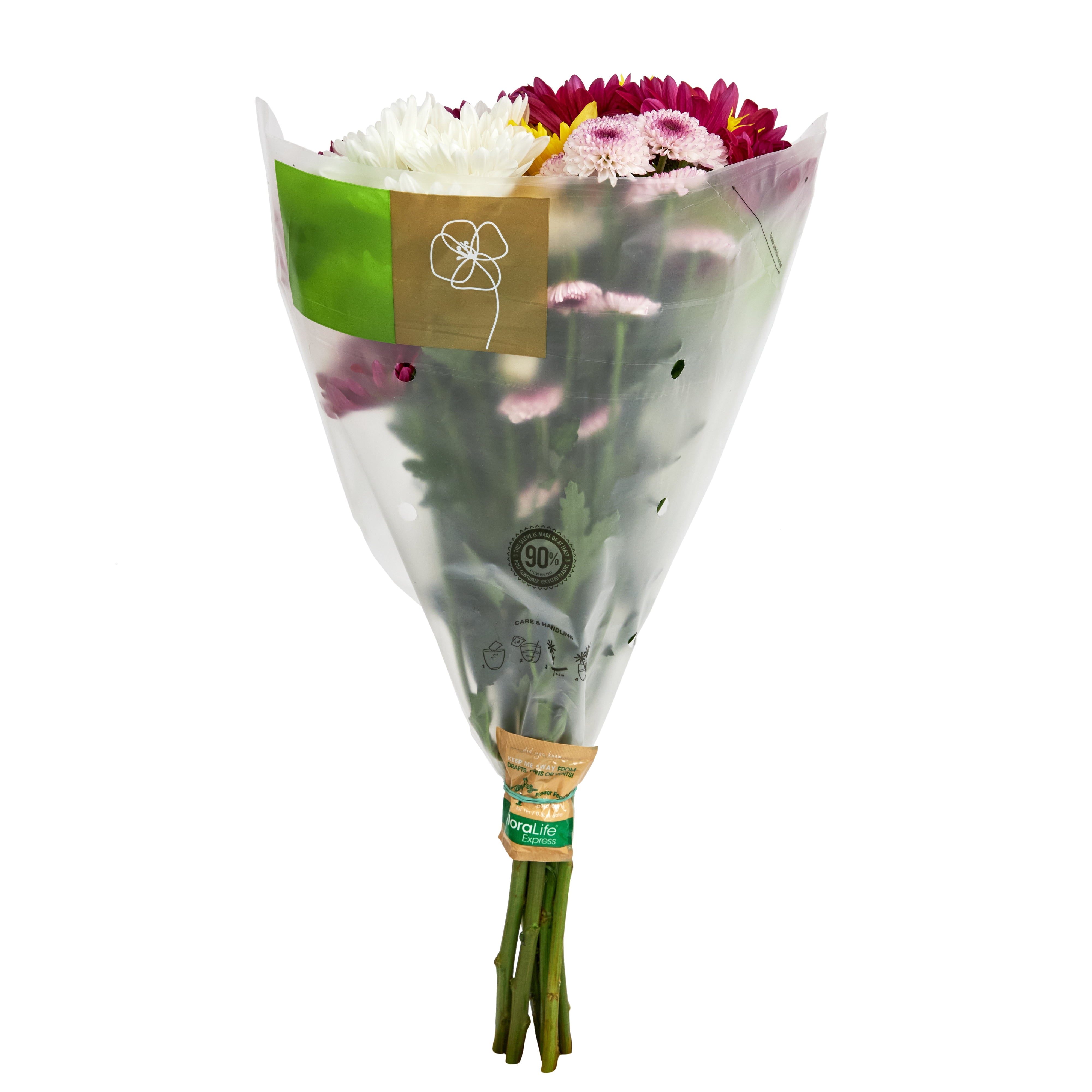 Fresh-Cut Small Rainbow Poms Flower ( 7 Stems ) ( Same Day Delivery Usa )