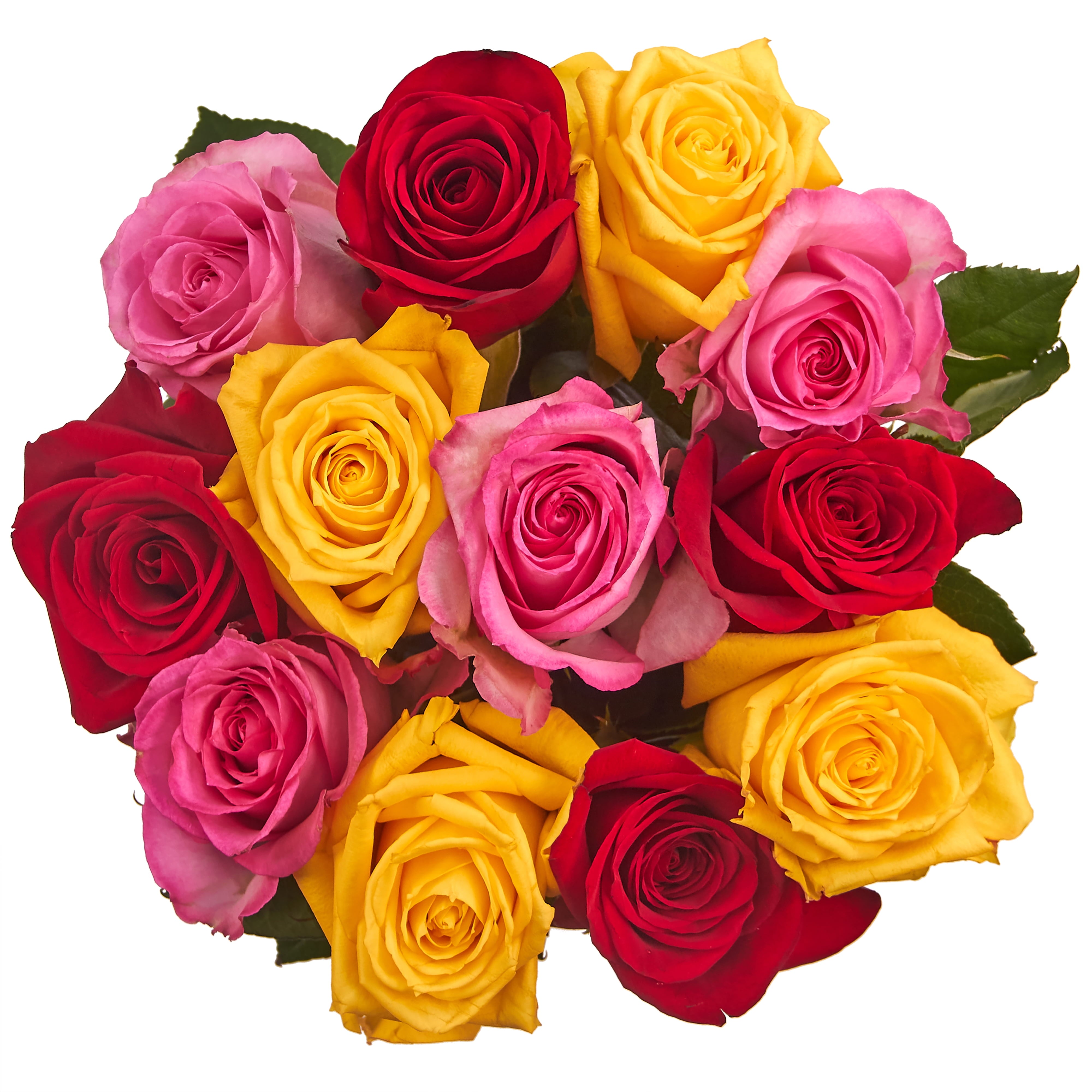 Fresh Cut Dozen Roses ( 12 Stems of Roses ) ( Same Day Delivery Usa )