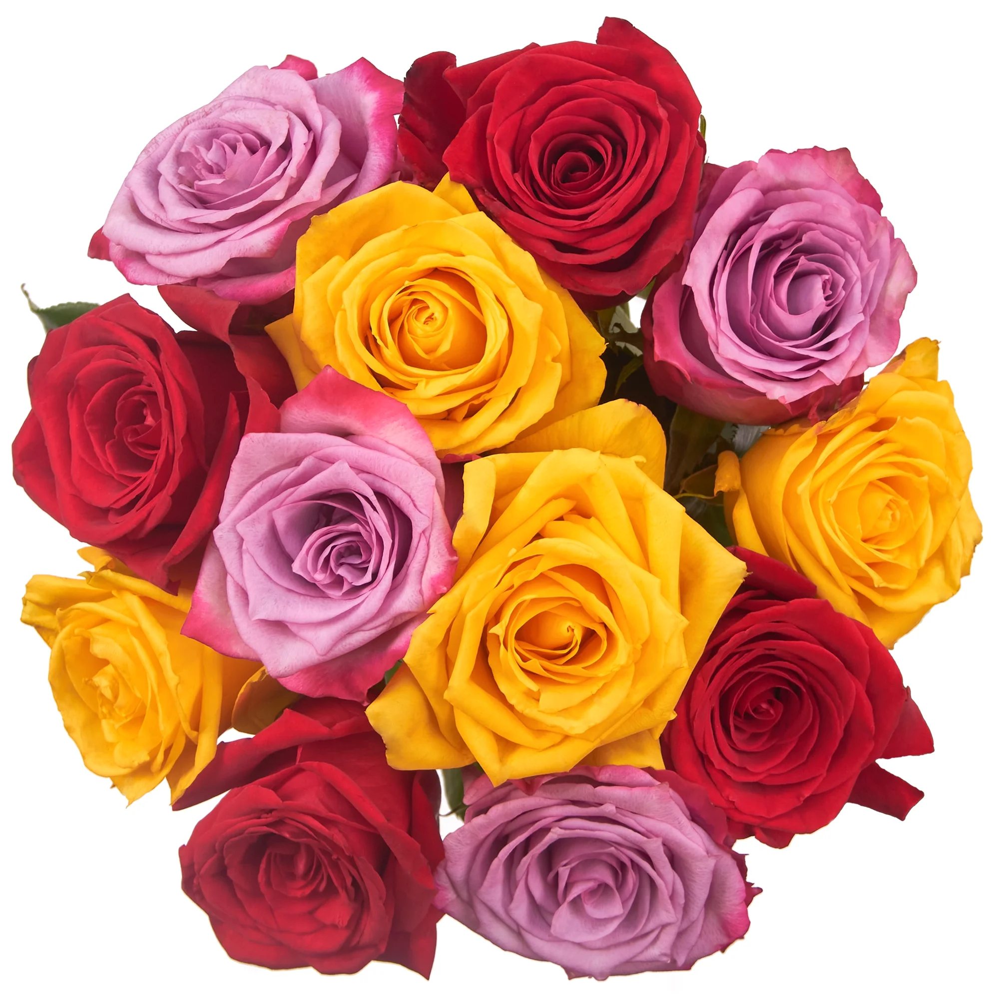 Fresh Cut Dozen Roses ( 12 Stems of Roses ) ( Same Day Delivery Usa )